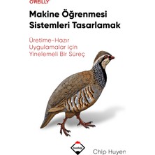 Buzdağı Yayınevi Makine Öğrenmesi Sistemleri Tasarlamak