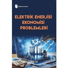 Birsen Yayınevi Elektrik Enerjisi Ekonomisi Problemleri