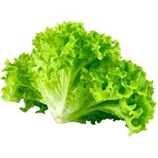 Alyron Store Marul (Çoklu Tohum) - 5 Gram