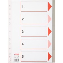Velora Bigpoint - Pp Seperatör 1-5 Rakamlı