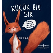 İş Bankası Kültür Yayınları Küçük Bir Sır