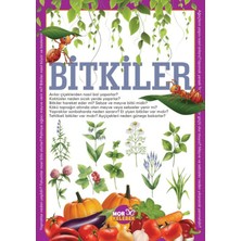 Mor Kelebek Bitkiler