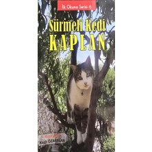 Kalem Lügat Yayıncılık Sürmeli Kedi Kaplan