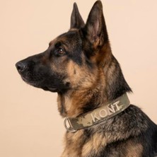 Velora Isimli Tasma Isimli Köpek Tasması Kişiye Özel Köpek Boyun Tasması I Küçük, Orta ve Büyük Irk Köpekler I Desen Seçenekli (L, Kamuflaj)
