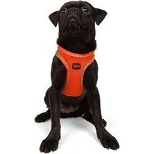 Velora Tailpetz Air-Mesh Küçük ve Orta Irk Kedi Köpek Göğüs Tasması - Yumuşak, Nefes Alabilir, Dayanıklı (Neon-Turuncu, Medium)