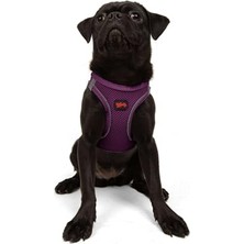 Velora Tailpetz Air-Mesh Göğüs Tasması 3xs (Mor, M)