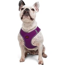 Velora Tailpetz Air-Mesh Göğüs Tasması 3xs (Mor, L)