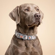 Velora Gobypet Desenli Köpek Boyun Tasması 25 Mm, Ayarlanabilir 39-55 Cm, Güçlendirilmiş Emniyet Kilitli Toka, Paslanmaz Metal D Halka, Dayanıklı Kumaş, Günlük Kullanım, Yürüyüş ve Eğitim Için