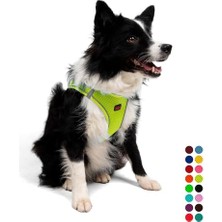 Velora Tailpetz Air-Mesh Küçük ve Orta Irk Kedi Köpek Göğüs Tasması - Yumuşak, Nefes Alabilir, Dayanıklı (Neon-Sarı, Xlarge)