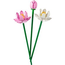 Esplendor Dekoratif Lotus Çiçek Yapım Seti, 40647 Modeli ile Eğlenceli Tasarım