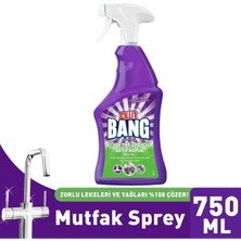 TeknoKapsül Mutfak Temizleyici Yağ, Kir ve Kireç Sökücü Sprey 750ML