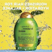 Esplendor Tea Tree Yağı Içerikli Şampuan, 385 ml
