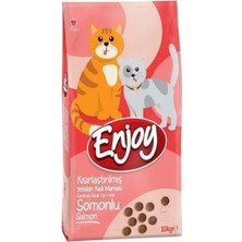 TeknoKapsül Sterilised Somonlu Kısırlaştırılmış Kedi Maması 10 kg