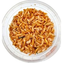 Esplendor Şeffaf Kutuda Kurutulmuş Gammarus Karides, 20 G, Balık Yemi