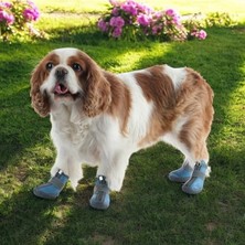 Esplendor Su Geçirmez Kışlık Köpek Ayakkabısı - Deri ve Kauçuk Taban, Mavi