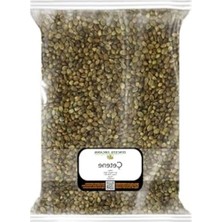 Esplendor 500 gr Kenevir Tohumu, Kuş Yemi, Doğal ve Besleyici