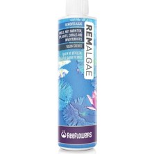 Esplendor Rem Algea 85 ml
