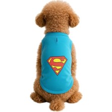 Esplendor Kedi ve Köpek Kıyafeti & Elbisesi Turkuaz Superman Atlet S