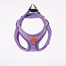 Esplendor Air-Mesh Lilac Köpek Göğüs Tasması (S)