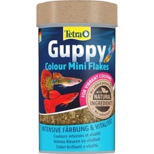 Esplendor Guppy Colour Mini Flakes Pul Lepistes Yemi 100ML