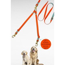 Esplendor Caramelos Ikili (Çift) Köpek Gezdirme Tasması ve Sevk Kayışı Set Ayarlanabilir Su Yeşili-Turuncu-Tek Ebat