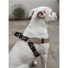 Esplendor Köpek Göğüs Tasması Ayarlanabilir Büyük Irk Kolon Kordon & Deri Kahverengi & Vizon