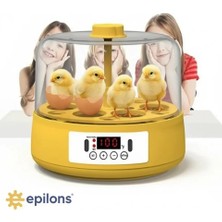 Ematcrt Mini Otomatik Ev Tipi Kuluçka: Elektrikli Tavuk ve Kuş Kuluçka Makinesi 6 Yumurtalı Mx-6 ( Lisinya )