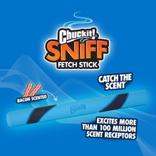 Str Store Bacon Sniff Fetch Stick Köpek Oyuncağı, (30 cm Uzunluk), Kokulu Köpek Oyuncağı, 1'li Paket, Tüm Irklar ve Boyutlar Için