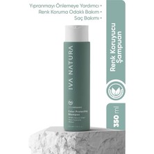 Esplendor Iva Natura Organik Renk Koruyucu Siyah Şampuan, Isırgan Otu ve Siyah Ceviz Özlü, Boyalı Saçlar Için Doğal Renk Koruma, Parabensiz ve Glutensiz, 350 ml
