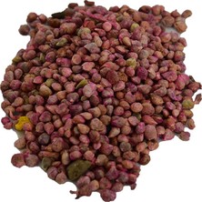 Esplendor Lokmanavm Ispanak Tohumu (Zirai Ekim Için Ilaçlıdır) 100 gr Paket