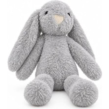 TeknoKapsül Moontoys 30 cm Uyku Arkadaşım Tavşan