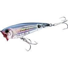 Esplendor Yo-Zuri 3D Inshore Popper (F) 70 mm 2 – 3/4-Inchmullet Floating Olta Yemi, Meeraesche