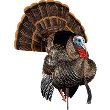 Esplendor Avıan-X Hdr Strutter Turkey Decoy - Sağlam Dayanıklı Gerçekçi Gerçekçi Gerçekçi Baskın Gövde Ayakta Av Tuzağı 2 Çıkarılabilir Kafa ve Kanat, Sakal, Ayarlanabilir Kuyruk Fanı, Montaj Kazığı ve Taşıma