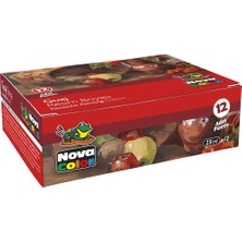 Esplendor Nova Color NC-461 Guaj Şişe 12'li Tk