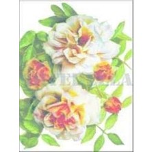 Esplendor Artebella Küçük Kolay Transfer 17X24 cm Koyu Zemin 1264K