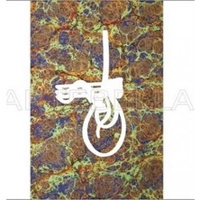 Esplendor Artebella Klasik Kolay Transfer 23X34 cm Koyu Zemin 1521K