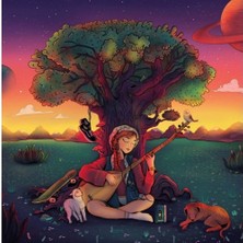TeknoKapsül Armageddon Türk Anadolu Lo-Fi Plak