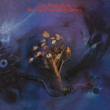 TeknoKapsül On The Threshold Of A Dream Plak