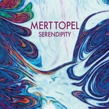 TeknoKapsül Serendipity