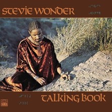 TeknoKapsül Talking Book Plak