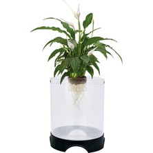 Str Store Aqua-Ponic Betta Tankı ve Hidroponik Bitki Saksısı, Bitkiler ve Balıklar Için Sağlıklı Bir Ortam Sağlar