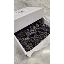 Taze Aronya 500 G – Karton Kutu Ambalaj