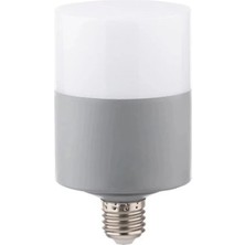 Zmr 30 Watt Oval Dekoratif LED Ampul E27 Beyaz Işık 6500K ZMR115