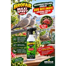 Volkan Ziraat Mühendislik Brofar Maxi Sprey 450ML Hamamböceği Karınca Pire Tahtakurusu Sinek Çeşitleri Öldürücü Etkili - Yüksek Performanslı Biyosidal Içerikli Haşere Kovucu