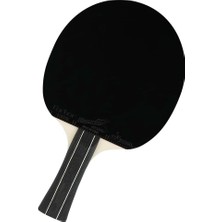 Herovia Block Ittf Onaylı Masa Tenisi Raketi