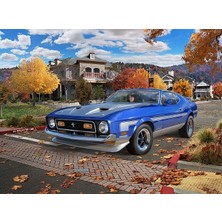 Herovia M.set 71 Ford Mustang Boss 351, Oyuncak