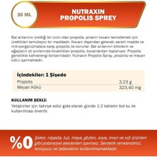 Propolis Ekstresi Içeren Boğaz Spreyi 30 ml