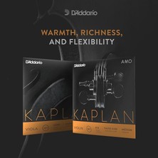 KA310 4/4m Kaplan Amo Set Keman Teli