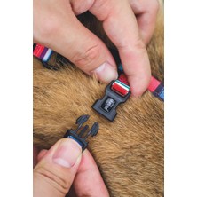 Str Store Urban Style Jazz Strıpes Kedi Göğüs Tasması Set