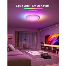 Ahes Rgbww + Rgbıc Yuvarlak Akıllı Tavan Armatürü 12 Inç H80A1C01
